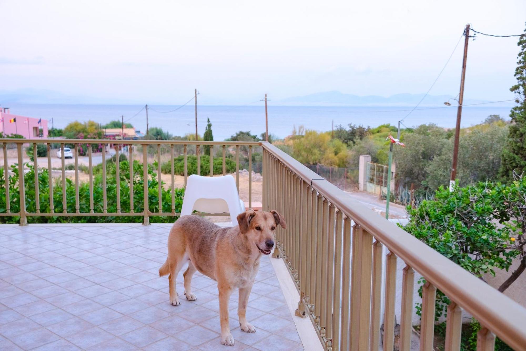 Spacious House With Seaview And Garden Ferienhaus *