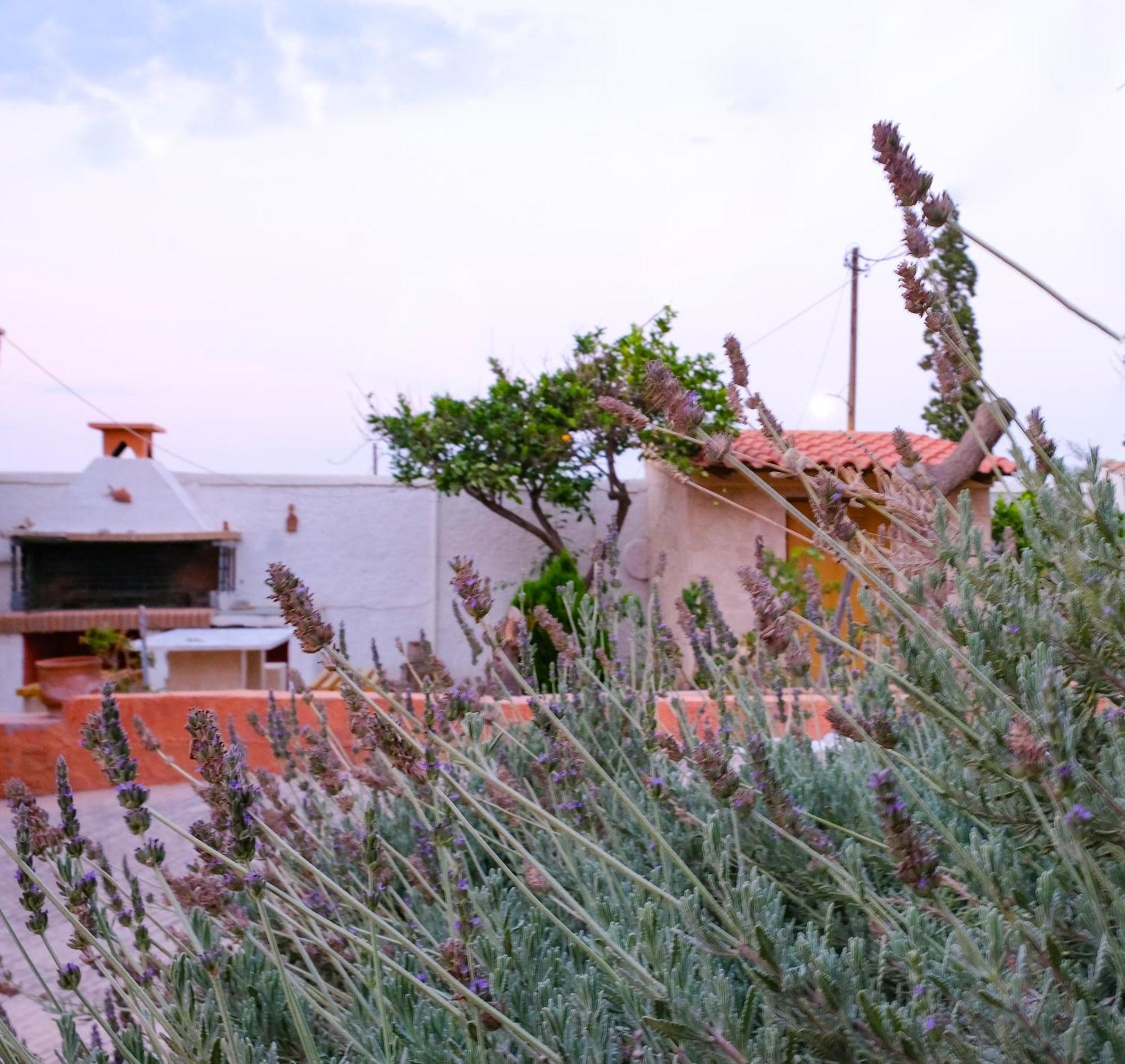 Spacious House With Seaview And Garden * Agioi