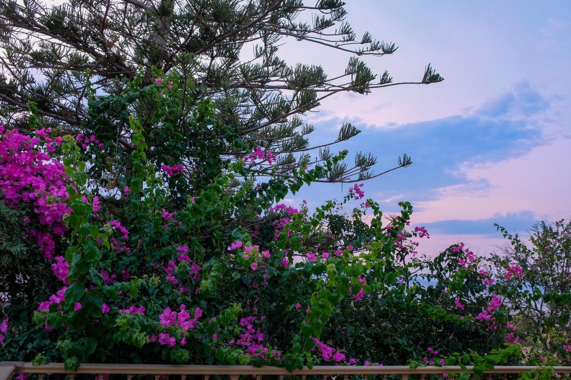 Spacious House With Seaview And Garden Agioi